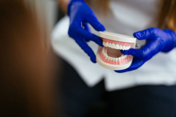 Reliable Sisco Heights, WA Dental Services Solutions